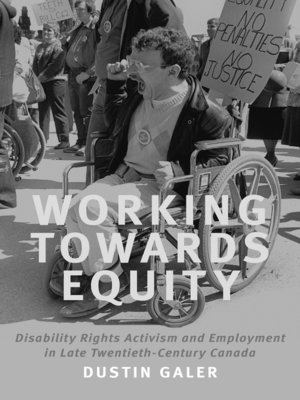 cover image of Working towards Equity